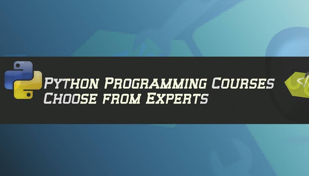 Python Programming Courses Delhi: Choose from Experts