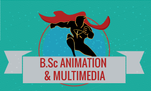 BSC in Animation and Multimedia in Delhi