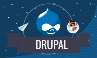 Drupal course institute in Delhi