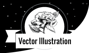 Advanced Certification Course In Vector Illustration Design Learn