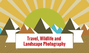 Certification Courses in Travel, Wildlife and Landscape Photography