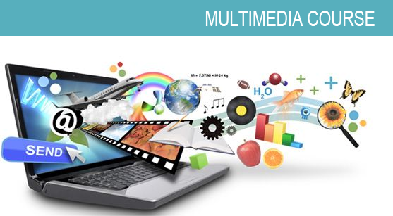 multimedia training institute 