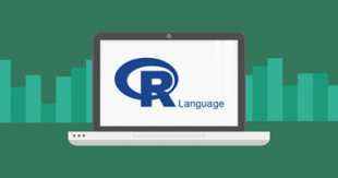 r-programming-language-course -in-delhi