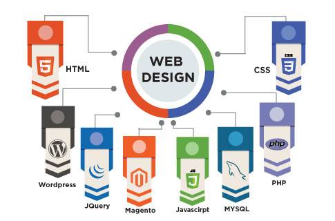 A career in Web Designing After 12th - TGC Graphic Design Web Design Animation  Multimedia Courses Training Institute