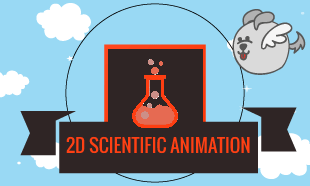 certification courses in 2D Scientific Animation
