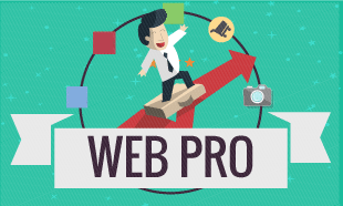 diploma in web pro